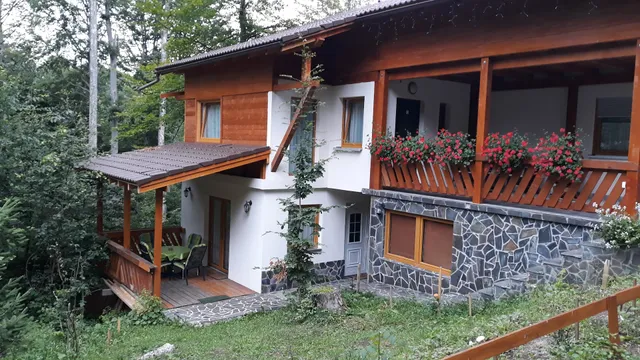 Pintea Chalet