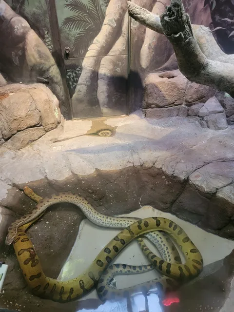 Reptile and Amphibian House