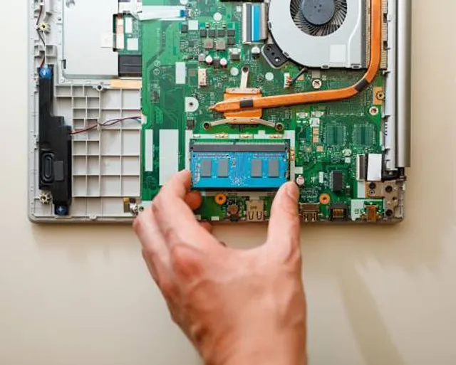 Rattlesnake Museum & Gift Shop