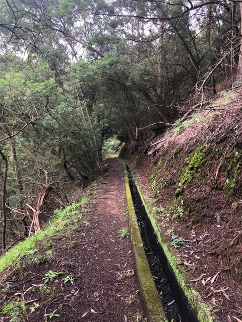 Levada Nova - Santo da Serra