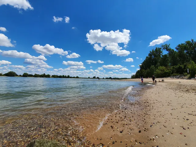 Hundestrand Oppenheim