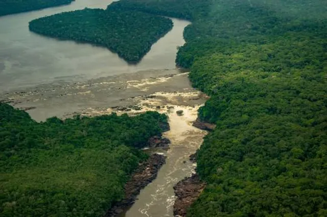 Parque Nacional Natural Yaigojé Apaporis