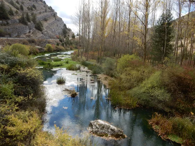 Nacimiento río Ucero