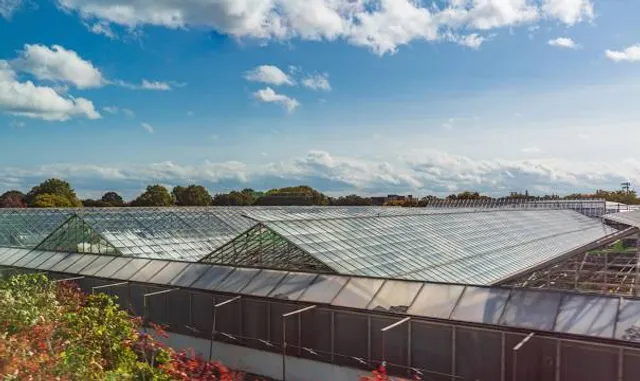 Saio no Mori Heritage Park