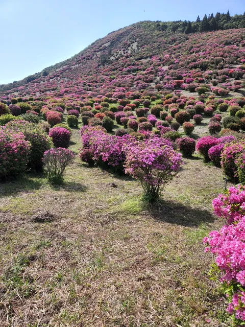 Takatogetsutsujigaoka Park