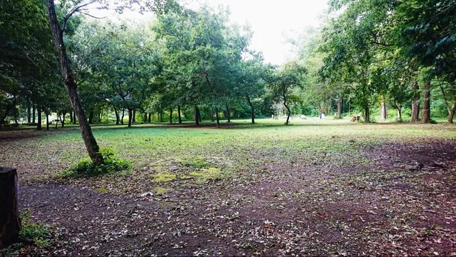 Chikozan Park Picnic and Barbecue Area