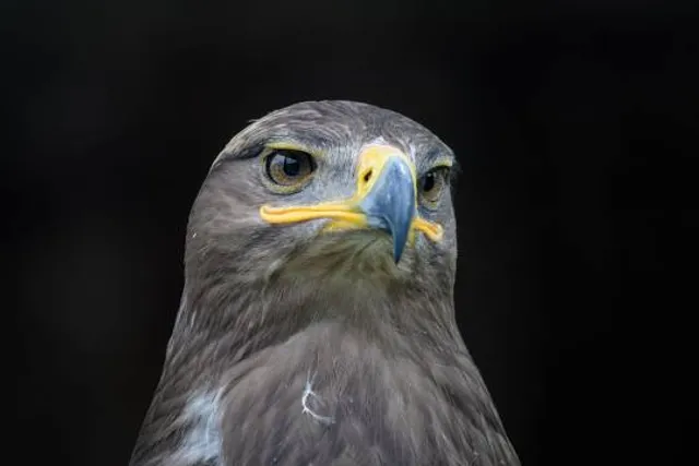 Grottes et Préhisto-Parc