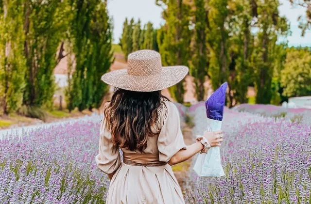 Warratina Lavender Farm