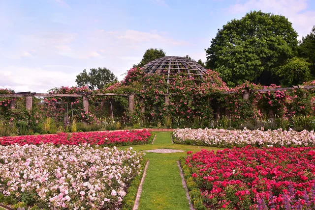 parc de Rosenhöhe