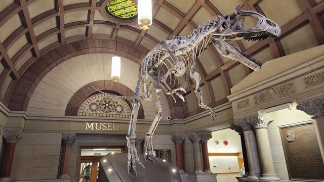 Orton Geological Museum