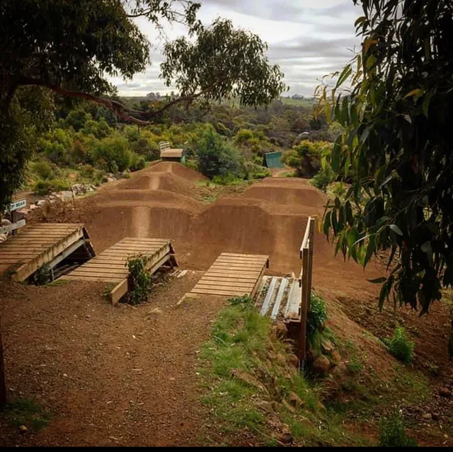 Penguin Mountain Bike Park