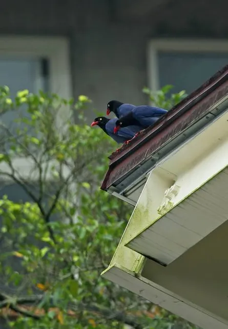 Museo Paleontológico "Fray Manuel de Torres"