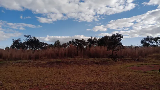 Parque Ecológico Burle Marx