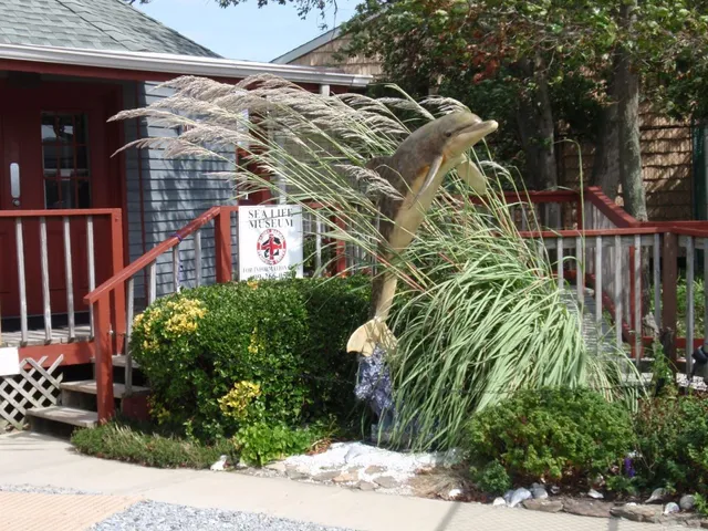 Marine Mammal Stranding Center