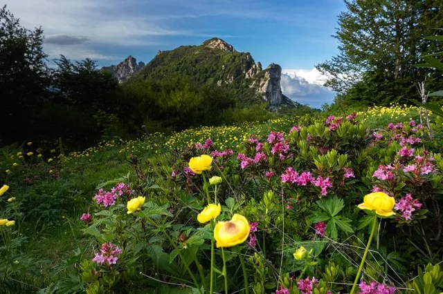 Passo di Campogrosso