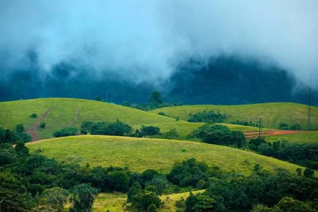 Vagamon Meadows