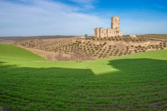 Castillo de Los Sotomayor Zuñiga Y Madroñiz