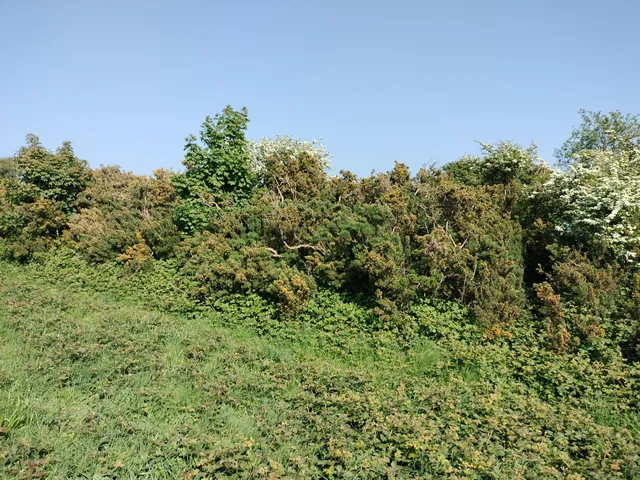 photo-1