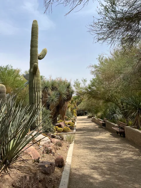 Botanical Garden at the Springs Preserve