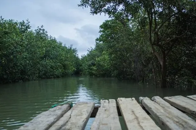 Santuario Nacional Manglares de Tumbes