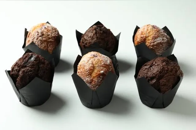 Vendsyssel Historiske Museum