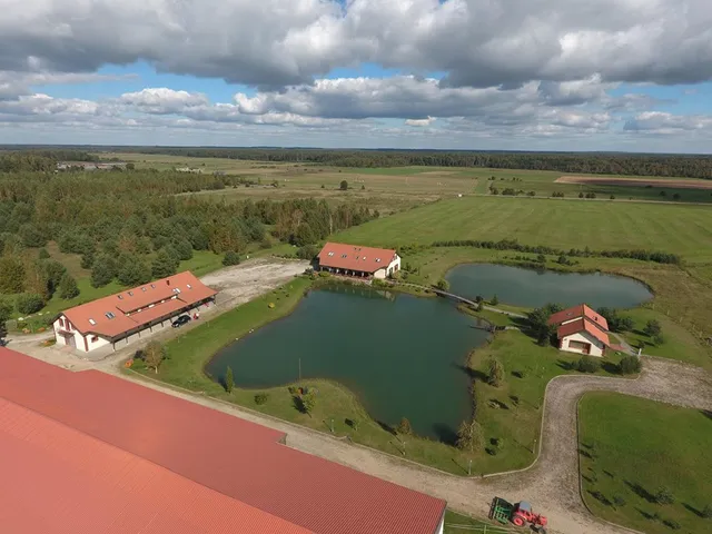 Pozingė Pegasas pokylių namai