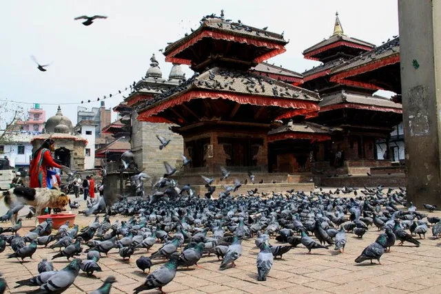 The Nepal Trekking Company Pvt Ltd