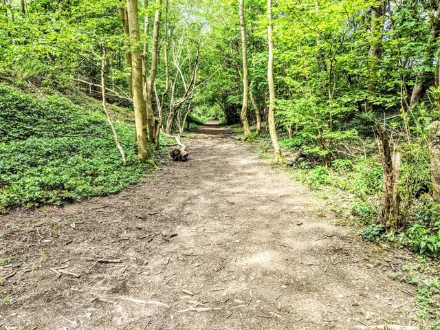 Marford Quarry North Wales Wildlife Trust Nature Reserve