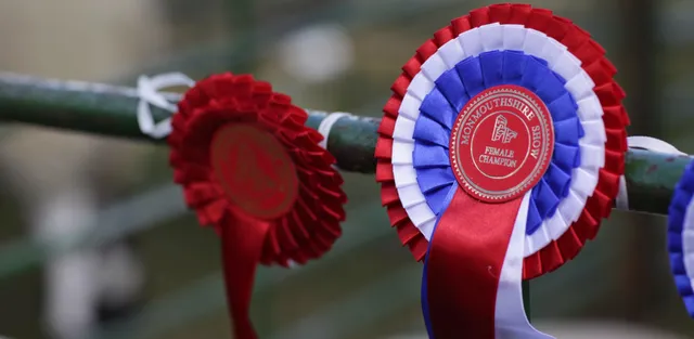 Monmouthshire Showground