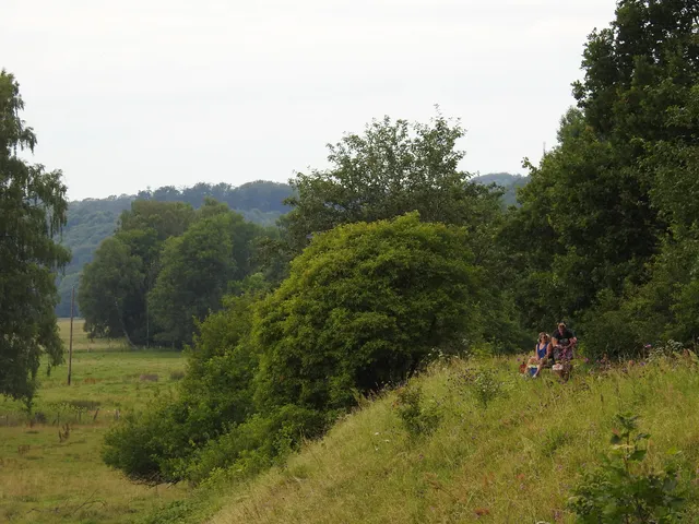 Dressin på Österlen
