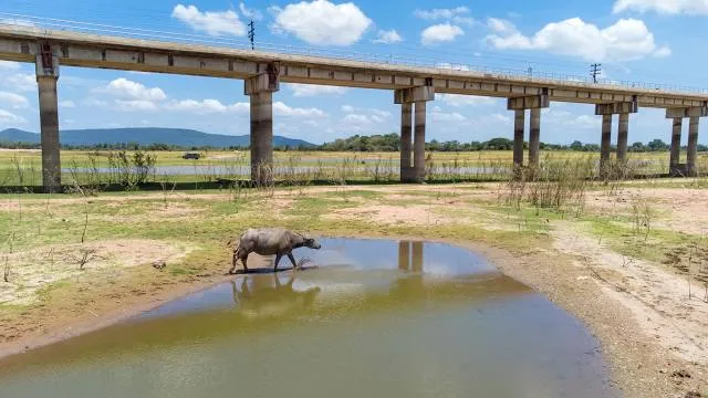 Khok Salung Railway Bridge