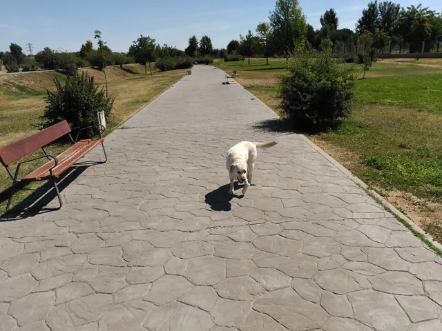 Parque de El Baldío