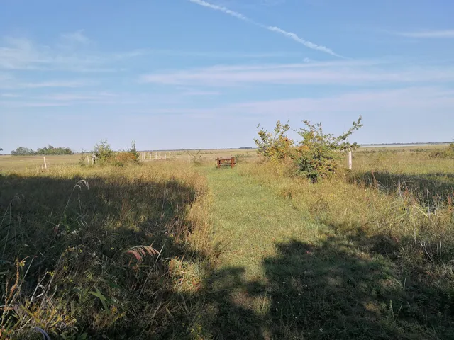 Gulipán tanösvény