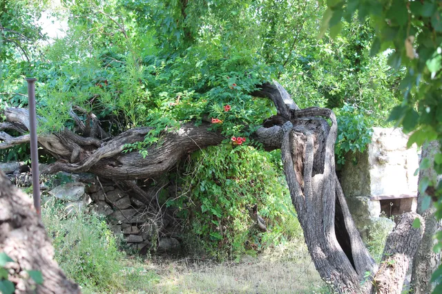 Eaton Hill Nature Center & Preserve