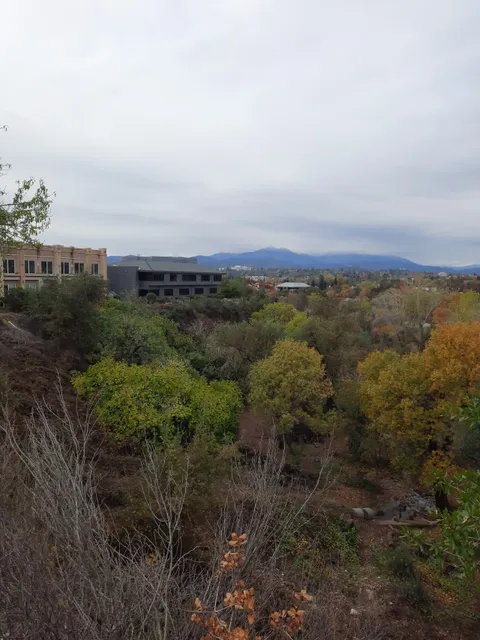 Lassen Park Foundation