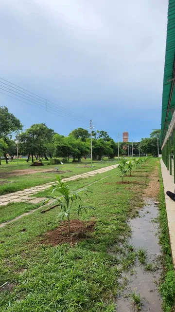 Rómulo Gallegos Park