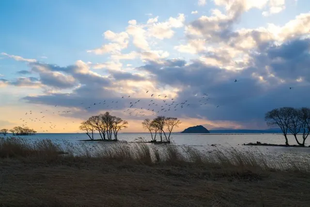 Kohoku Wild Bird Center