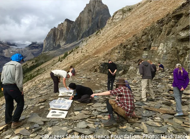 Burgess Shale Geoscience Foundation