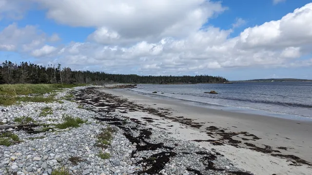 Taylor Head Provincial Park