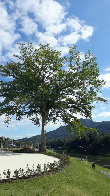 Parque Linear Via Verde