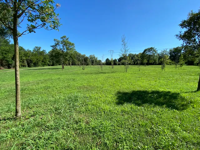 Parco della Cava di Muggiano