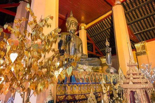 photo-2