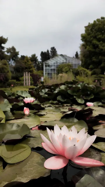 EÜ Botanik Bahçesi ve Herbaryum Araştırma ve Uygulama Merkezi
