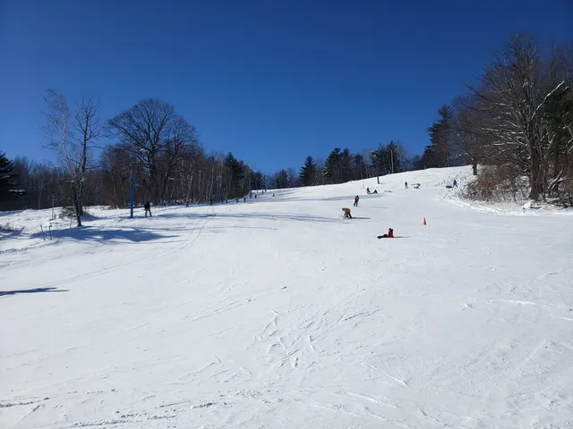 Beartown Ski Area Inc