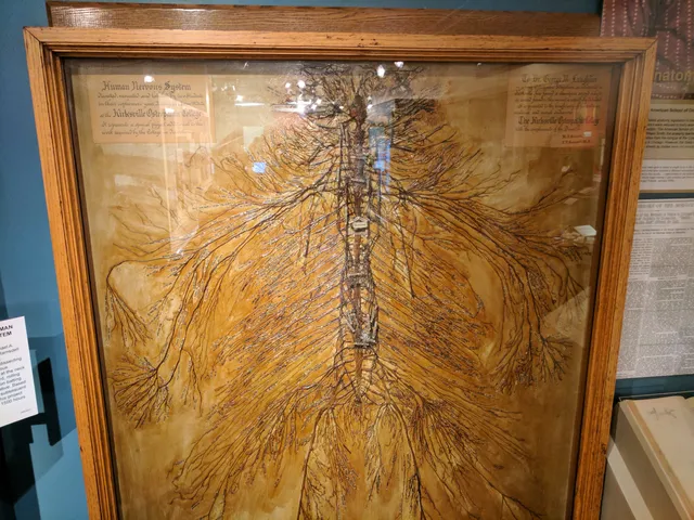 Museum of Osteopathic Medicine and the International Center for Osteopathic History