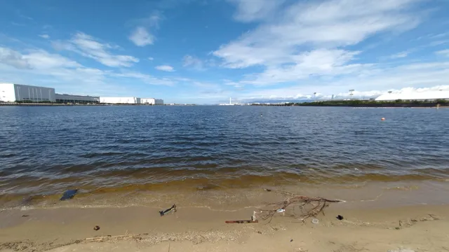 Sakaihama Natural Restoration Fureai Beach