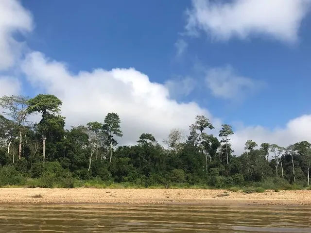 Pahang National Park