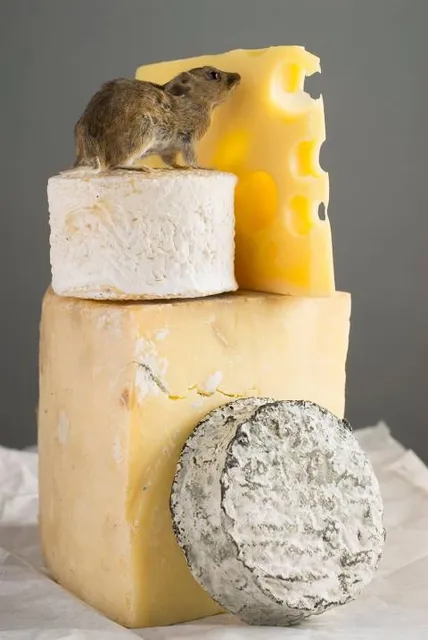 AMV- atelier-musée du verre - site de l'écomusée de l'avesnois