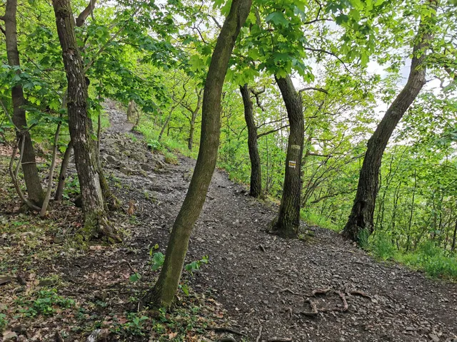 Nature trail Celtic Trail
