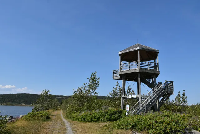 Site ornithologique du marais de Gros-Cacouna